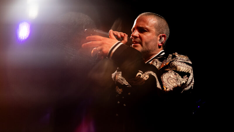 Sur les traces de Chat Chinois