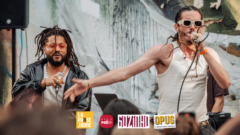 La Pause Jaune #11 : Primates à Plumes