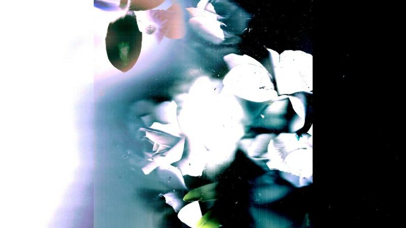 Nuance Records dévoile la palette musicale inédite de « Dernier Echo »