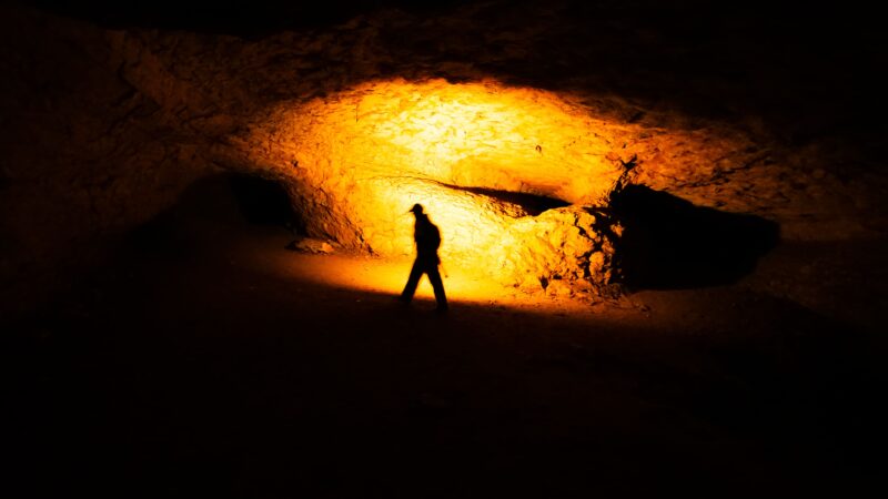 Interview avec Sara « C’est important de prendre des risques et d’aller au-delà de sa zone de confort, ne serait-ce que pour se connaître davantage. Et en fin de compte, quand tu écoutes moins tes peurs, ça devient très stimulant et inspirant. »